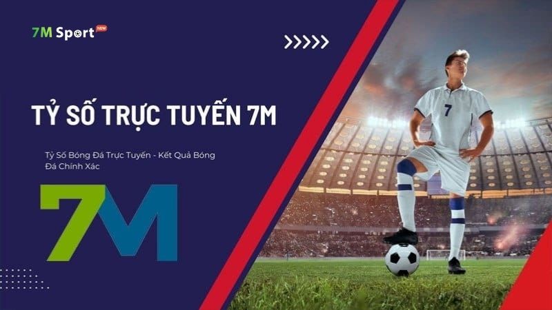 Quy định về tính trách nhiệm của 7M được xây dựng chặt chẽ