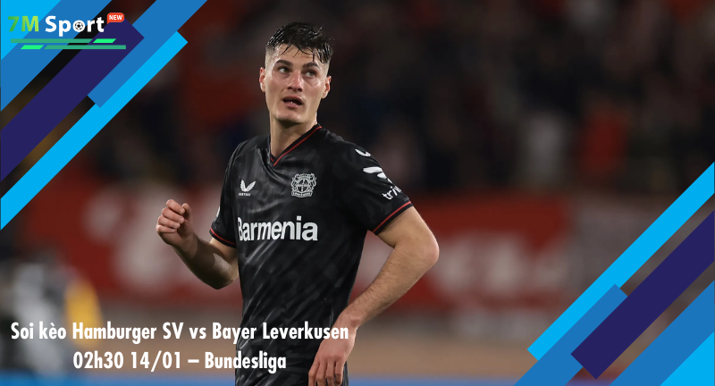 Đội hình dự kiến trước trận Hamburger SV vs Bayer Leverkusen Đội hình dự kiến trước trận Hamburger SV vs Bayer Leverkusen